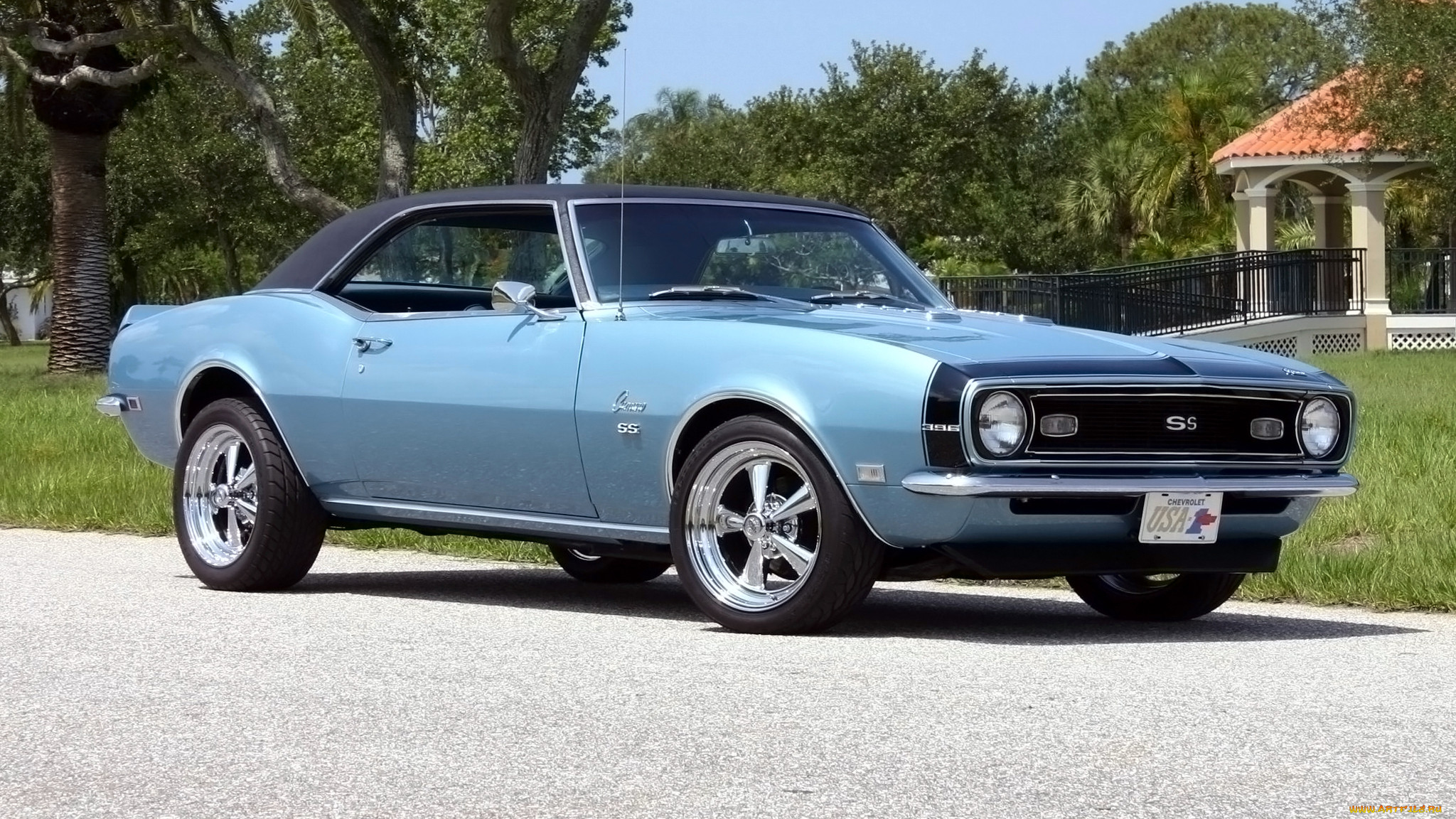 chevrolet, camaro, , , , , , gm, division